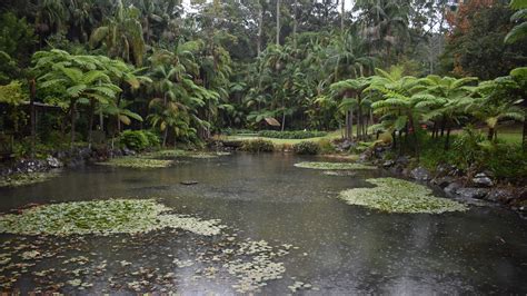 Botanic Gardens (Tamborine Mountain) | Brown Signs