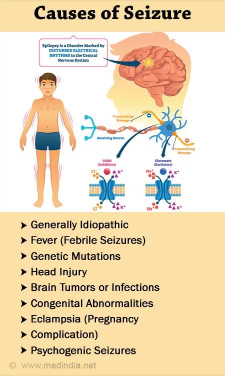 Epilepsy Seizure Disorder