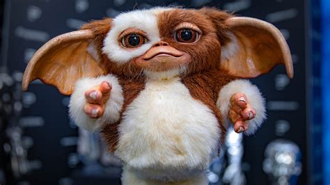 Original Animatronic Gizmo Puppet From Gremlins! - YouTube