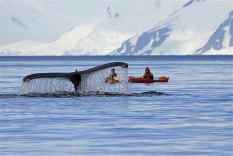 Sea Kayaking Alaska: Tour Itineraries for Alaska Kayak Trips