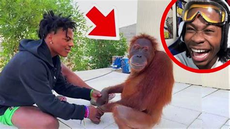 Bro got rejected by a monkey💀 | iShowSpeed Meets a MONKEY For the FIRST ...