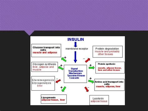 Hormonal regulation of carbohydrate metabolism