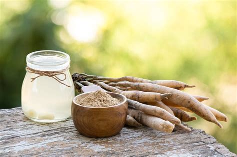 Shatavari Powder Benefits: Unveiling Nature’s Gift for Well-being | by ...