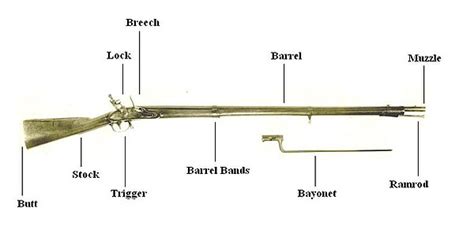 Musket - Wikipedia