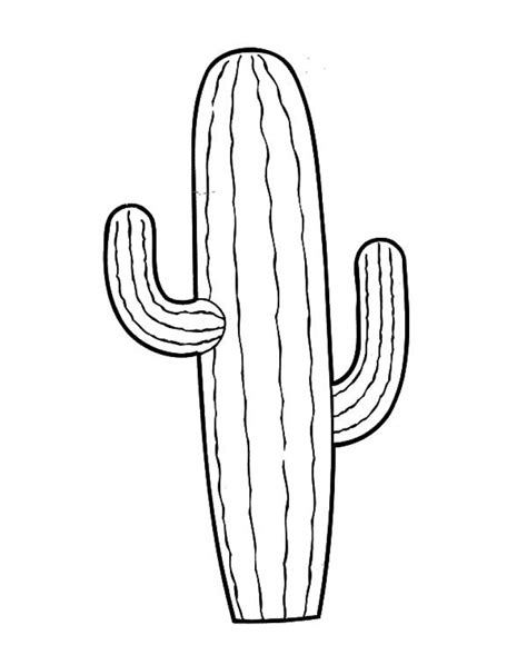 Saguaro Cactus Drawing at GetDrawings | Free download