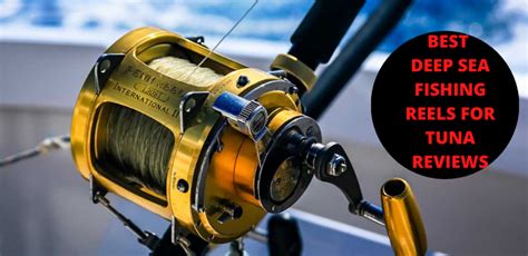 Best Deep Sea Fishing Reels For Tuna Reviews & Buyer’s Guide Of 2021