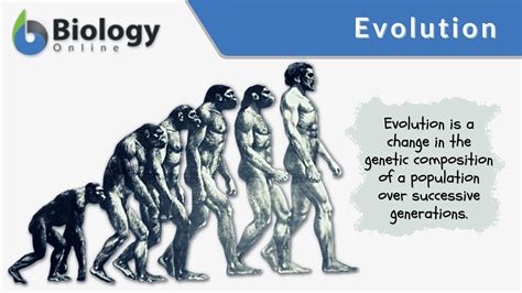 Evolution Definition and Examples - Biology Online Dictionary