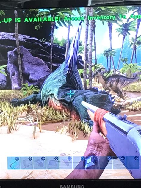 Female spino taming | Ark Survival Evolved Amino