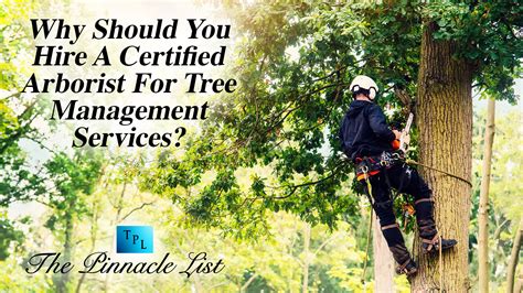 Why Should You Hire A Certified Arborist For Tree Management Services ...