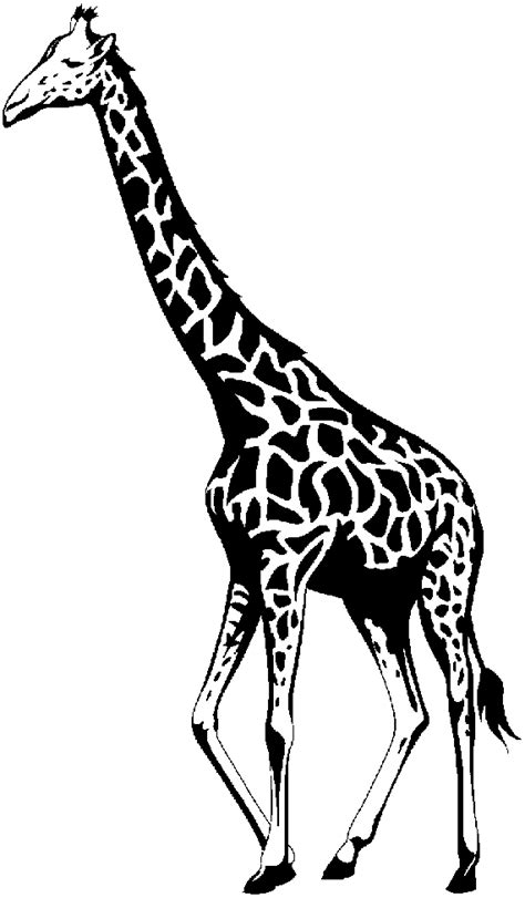 Giraffe Line Drawing | Giraffe, Giraffe drawing, Clip art