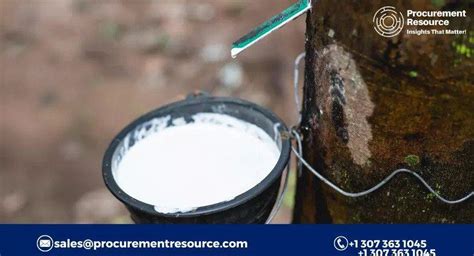 Natural Rubber Production Cost Analysis Report, Raw Materials ...