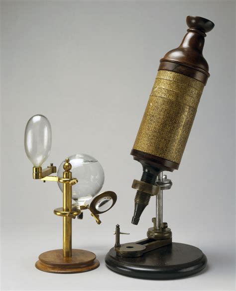 Who Developed The First Microscope