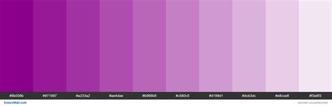 √ Purple Color Palette Hex