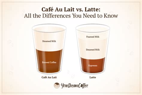 Café Au Lait vs. Latte: All the Differences You Need to Know