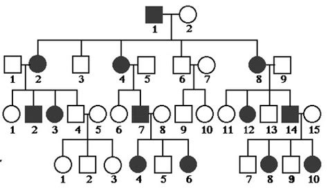 Pedigree Practice Flashcards | Quizlet