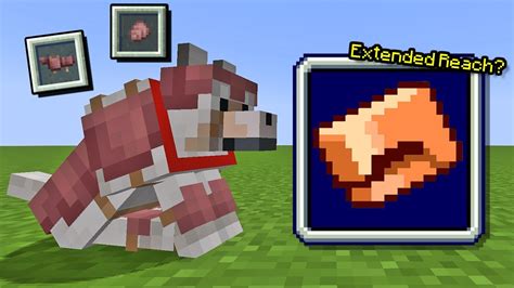 CRAB REACH ADDED Minecraft Snapshot 23w51a Armadillos, Dog Armor & NEW ...