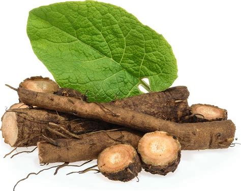 ORGANIC BURDOCK ROOT – Orange Street Storehouse