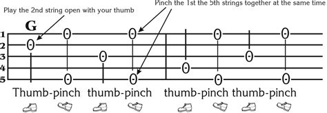 How Hard is it to Learn to Play the 5-String Banjo? | Native Ground