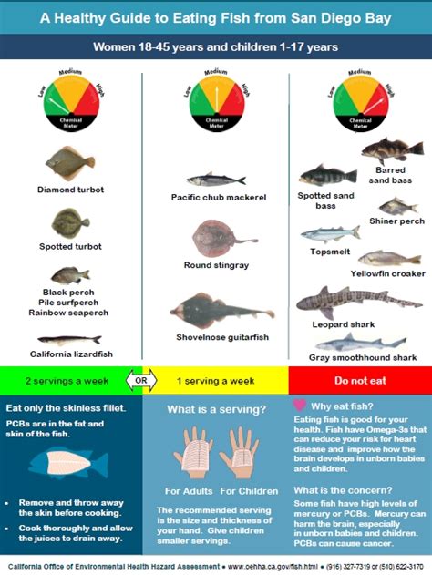 San Diego: Four Elasmobranch Species mentioned in New Fish Consumption ...