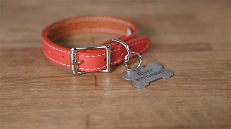 Dog id tags collars - digitalapo