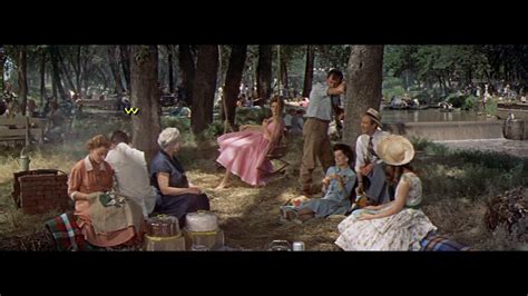 Picnic Movie 1955