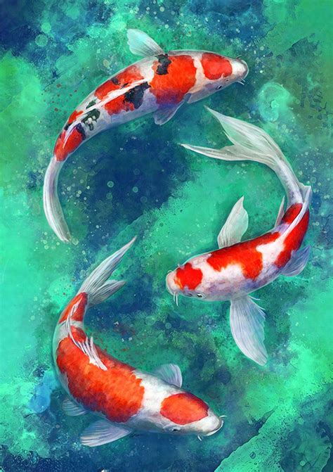 Карпы кои | Koi fish drawing, Koi art, Koi watercolor