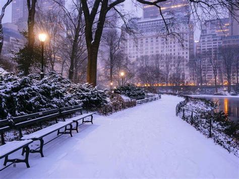 Central Park, New York City, USA | New york christmas, New york ...