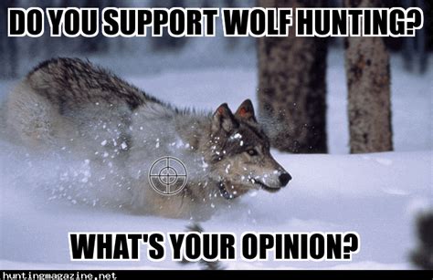 Do You Support Wolf Hunting? | Hunting Magazine