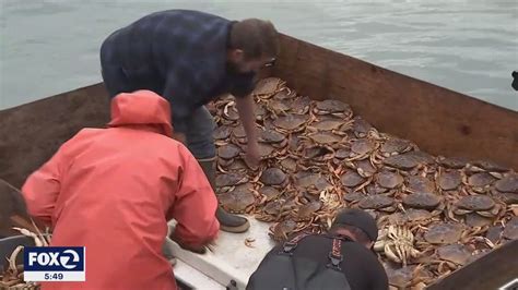 Late start to crab season proves to be not as lucrative | KTVU FOX 2