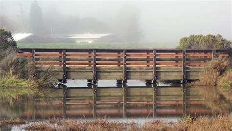 Santa Venetia Marsh - Marin County Parks