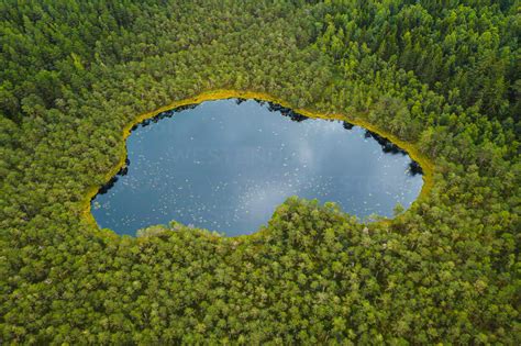 Aerial view of tiny ice age lake in the middle of woods near Moletai ...