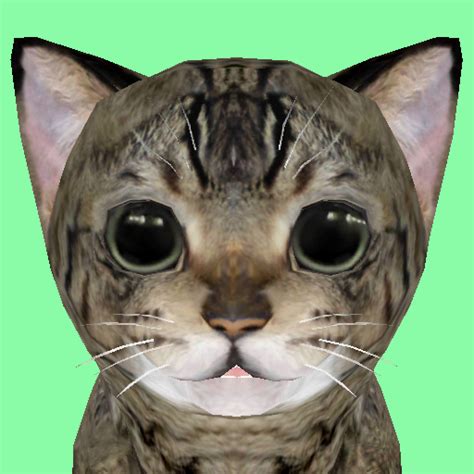 Cat Simulator Online - Apps on Google Play