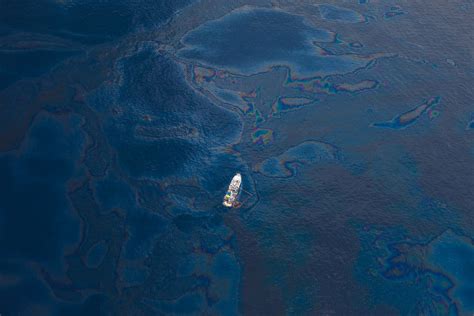 How Do Oil Spills Affect the Environment? | Earth.Org