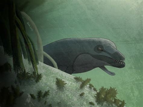 Basilosaurus by evaceratops on DeviantArt