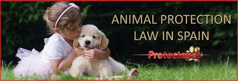 PROTECTAPET | Animal Protection laws Spain