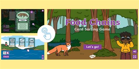 Food Chain Card Game - Twinkl