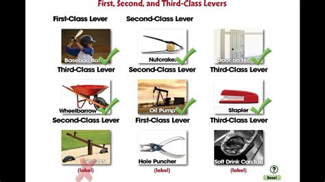 CC7555 Simple Machines: First, Second, and Third Class Levers Mini ...