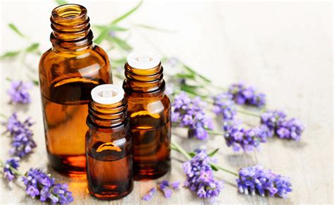 Top 15 Essential Oils for Sleep | AromaWeb