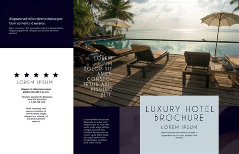 Luxe Hotels Brochure - BluCactus