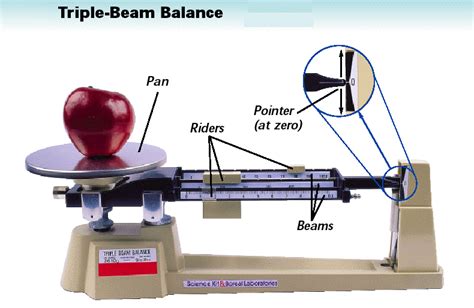 Weight Of Triple Beam Balance - The Best Picture Of Beam