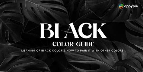 Black Color: A Guide on Meaning, Symbolisms & HEX Code of Black Color