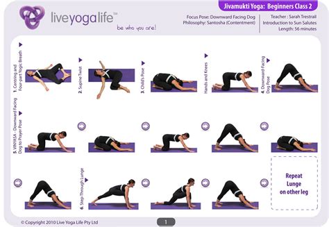 Yoga Poses For Beginners With Pictures And Names