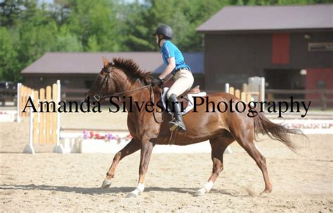 Horse show Blog | Equestrian Amino