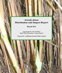 Arundo donax: Distribution and Impacts – California Invasive Plant Council