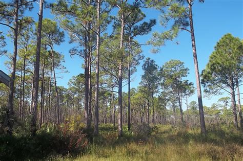 Hiking in Englewood, Florida | Parks & Hiking | Maps