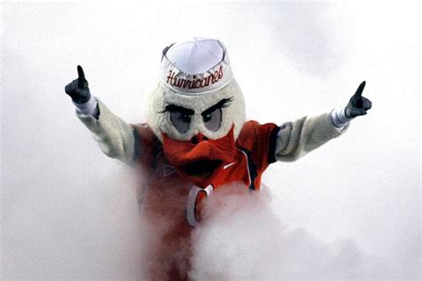 Miami Hurricanes Mascot: The History Behind Sebastian the Ibis