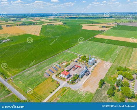 Aerial View of Farm, Red Barns, Corn Field in September. Harvest Season ...