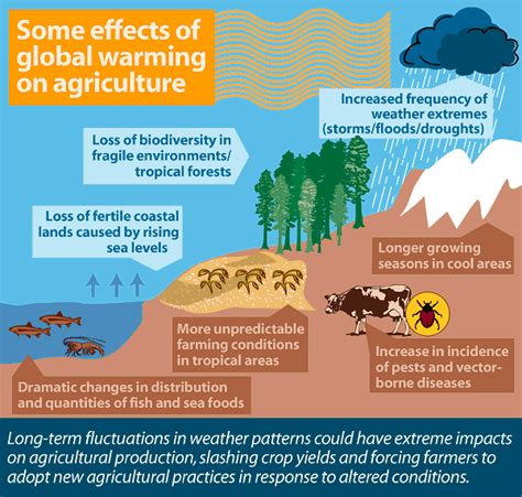 Climate Change Effects On Agriculture