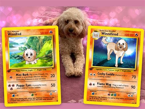 Evolution Set - 2 or 3 Pet Pokemon Cards - campestre.al.gov.br