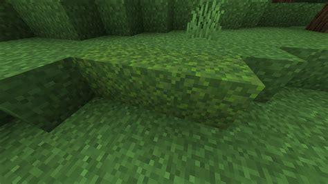 Biome Moss Minecraft Texture Pack